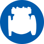 Check valve